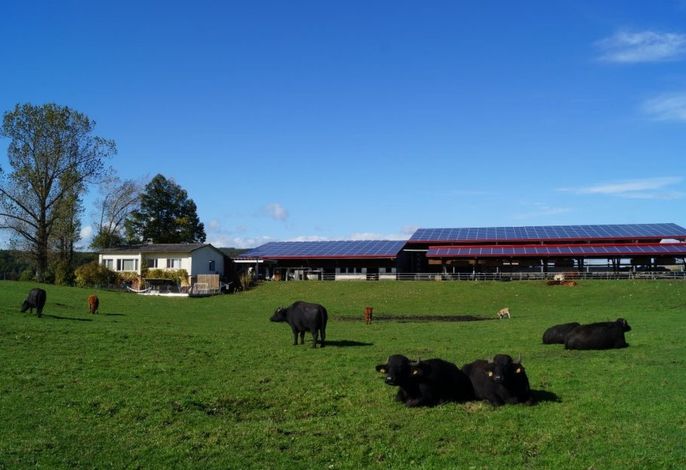 Erlebnis- und Biobauernhof Bolderhof, (Hemishofen),