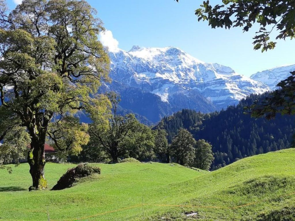 Rietberg 8 Braunwald