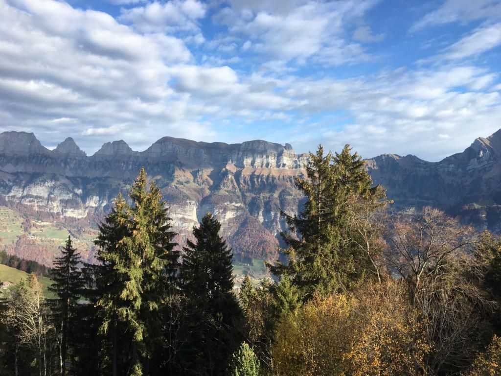 FLUMSERBERG TANNENHEIM