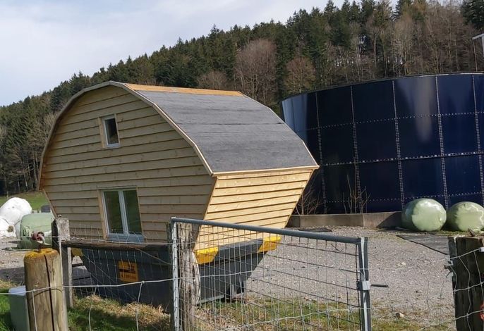 Bild 12