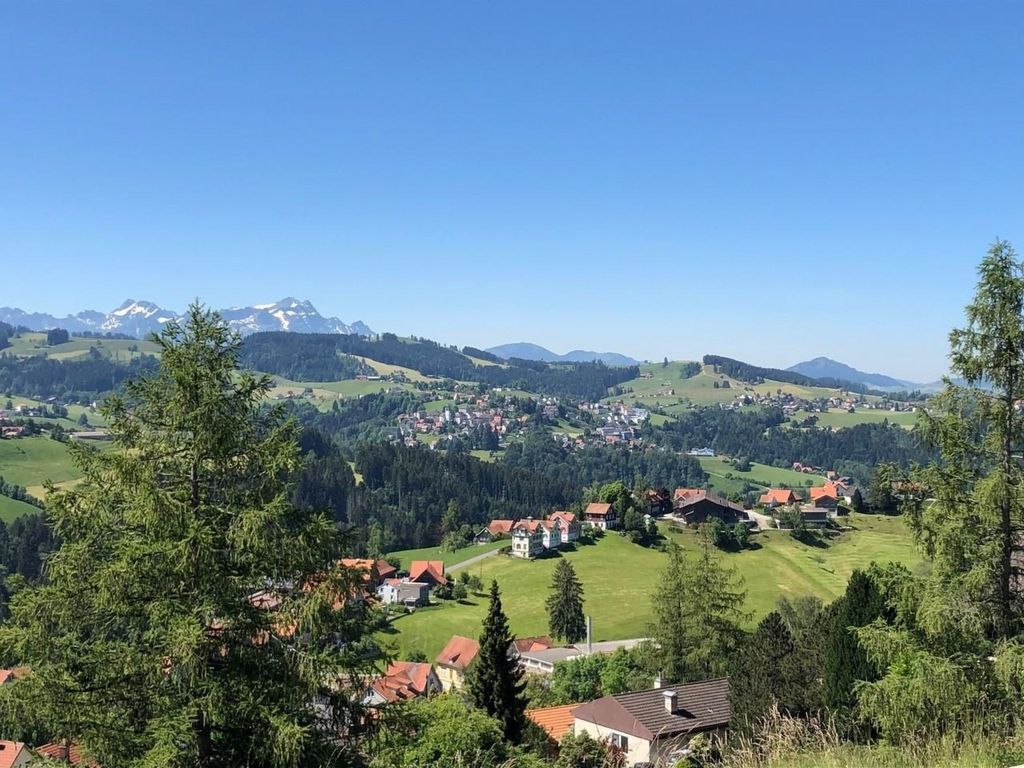 Dorf5, Kronbergblick