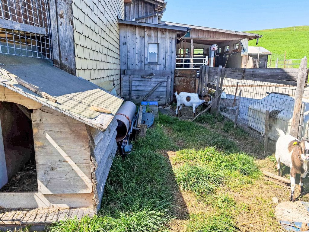 "Hüttli" neben dem Bauernhof Fendrig