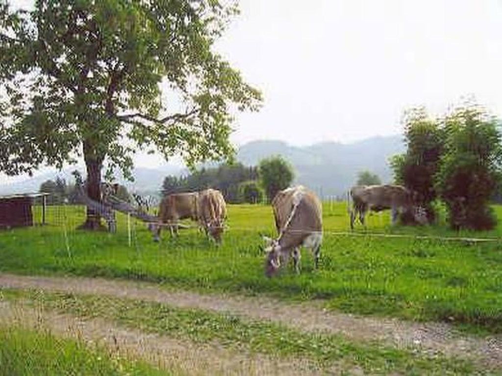 Bauernhof ufem Berg