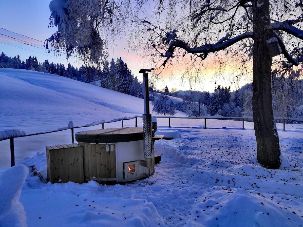 Vordere Au