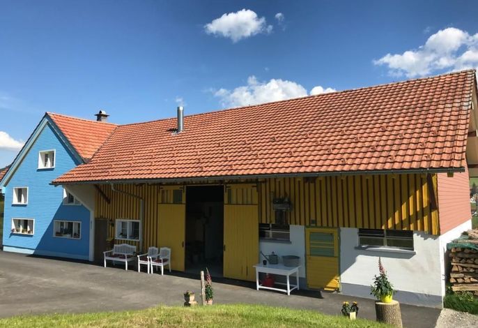 Bild 5