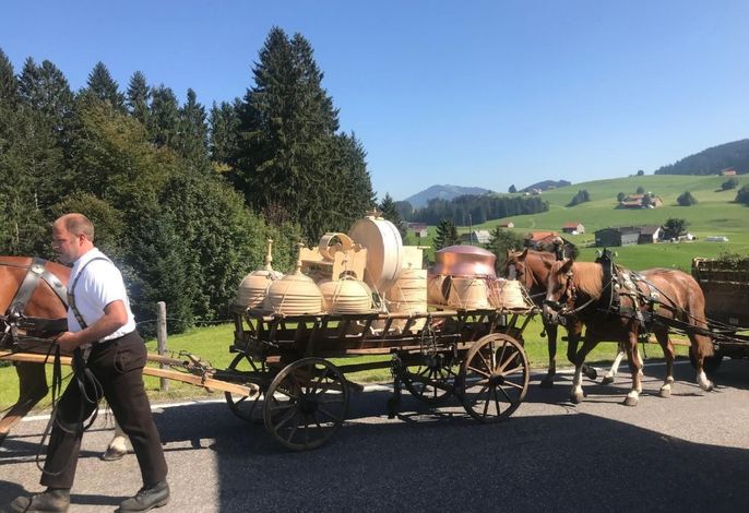 Bild 18
