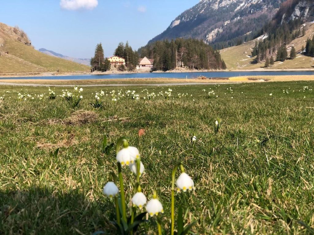 im Dorf Urnäsch