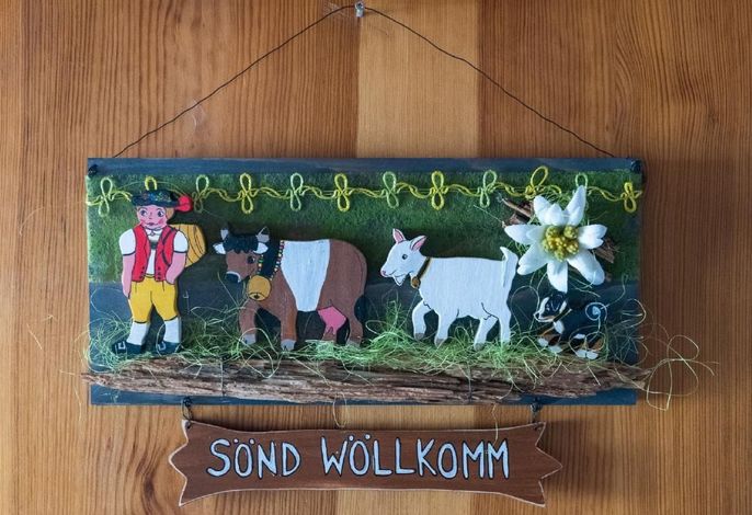 Bild 50
