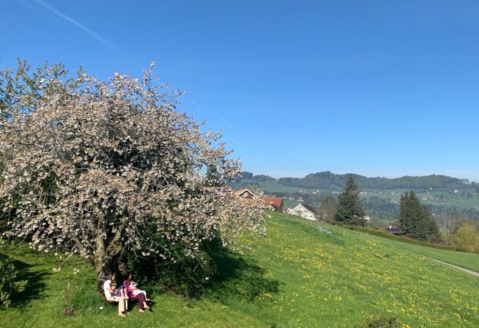 Bild 17