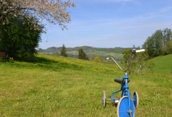 Bild 19