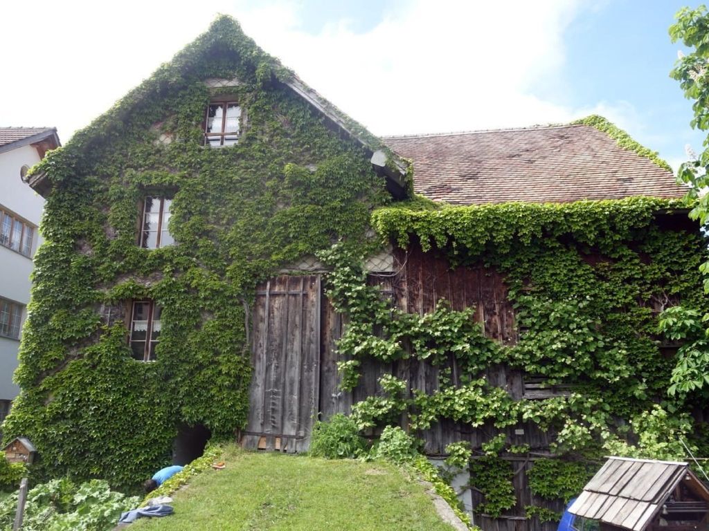 das schiefe Haus