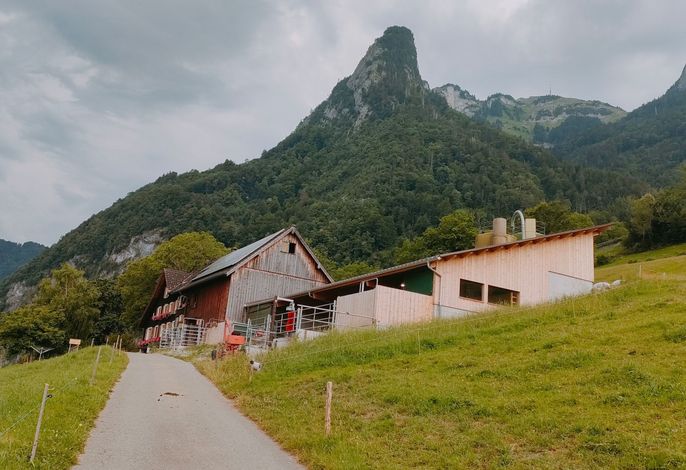 Bild 2