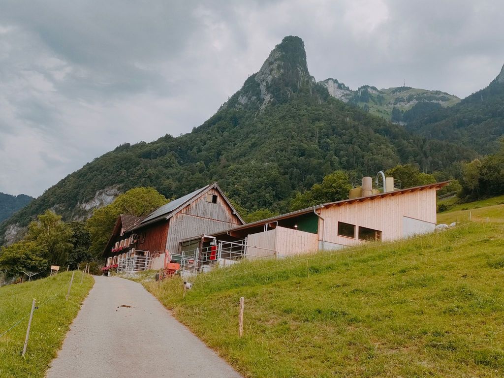 Löhli Hof