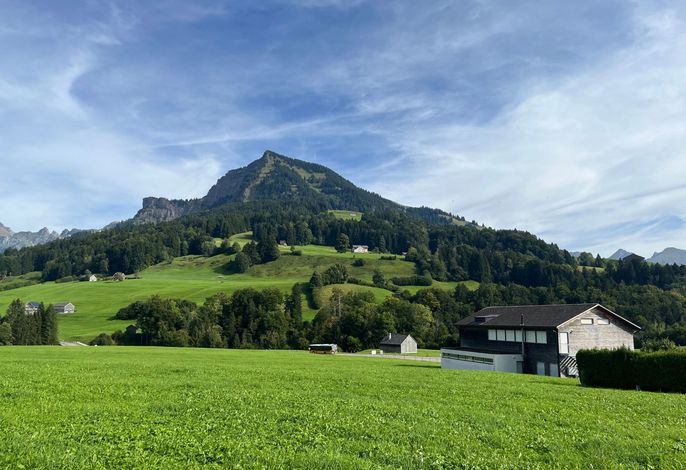 Hauptbild