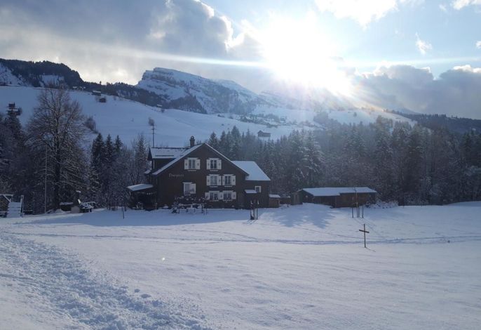 Bild 12