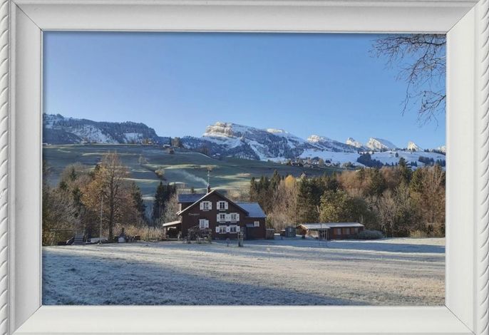 Bild 11