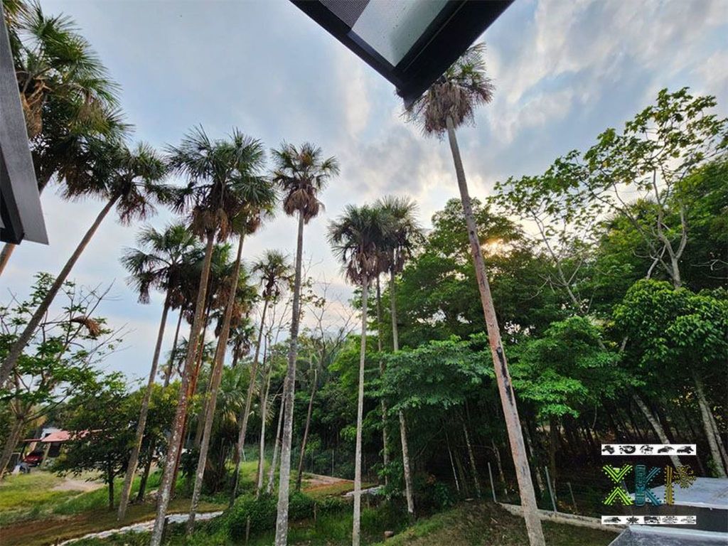 Encanto Llanero