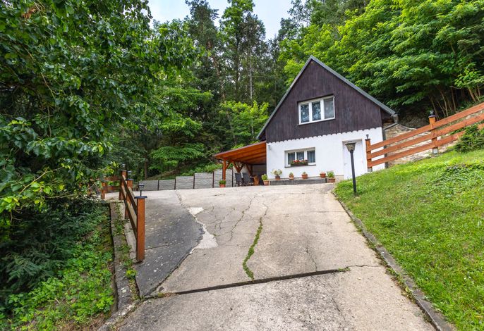 Bild 12