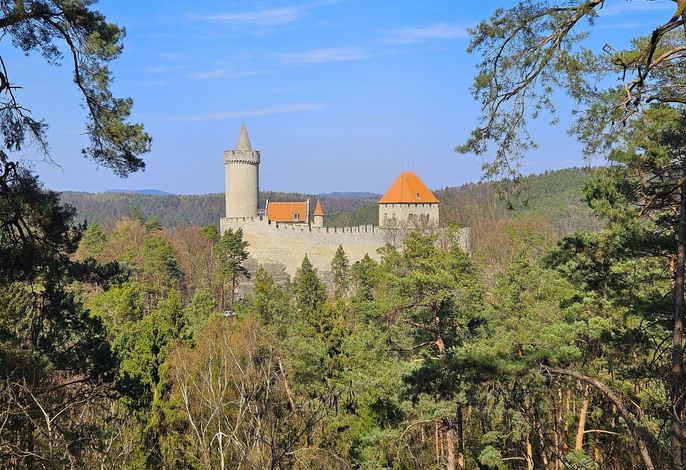 Bild 15