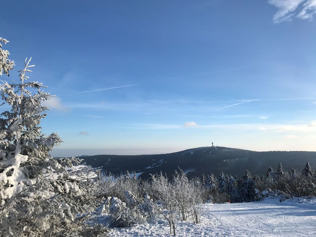 Schober