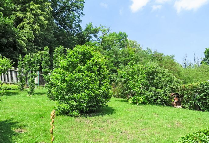 Bild 12