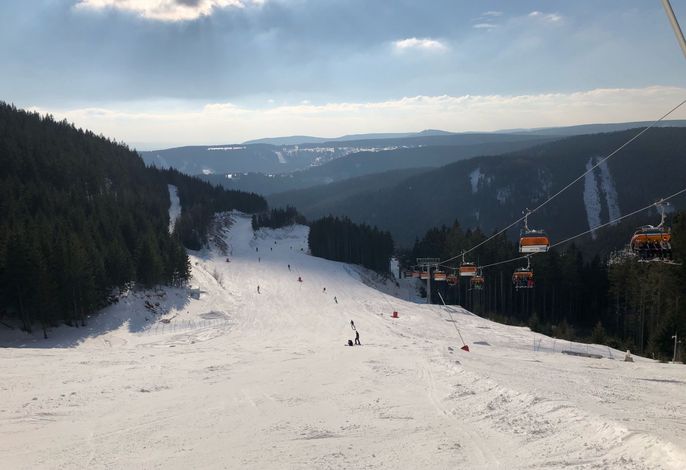 Bild 19