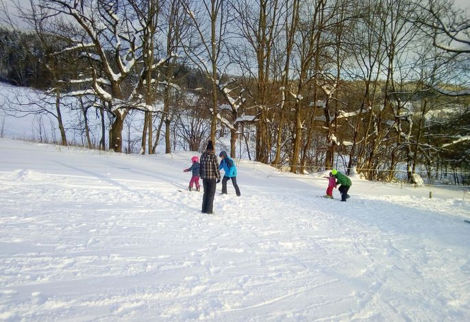 Bild 7