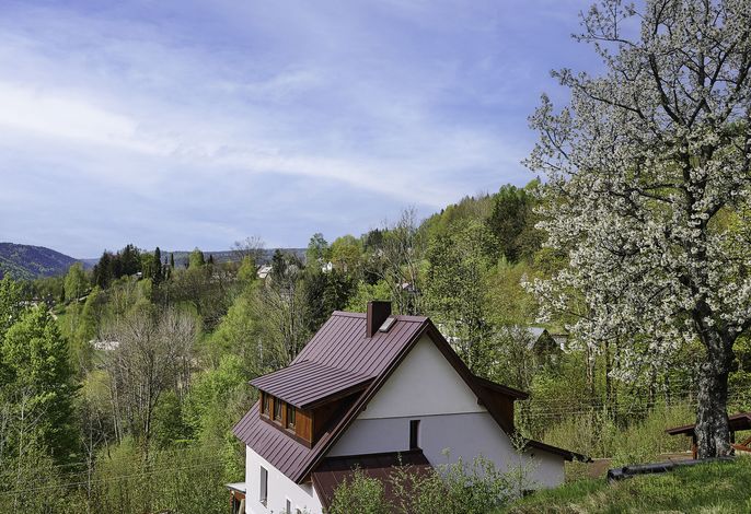 Bild 7