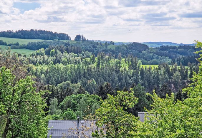 Bild 13