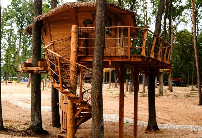 Treehouse 1 .1