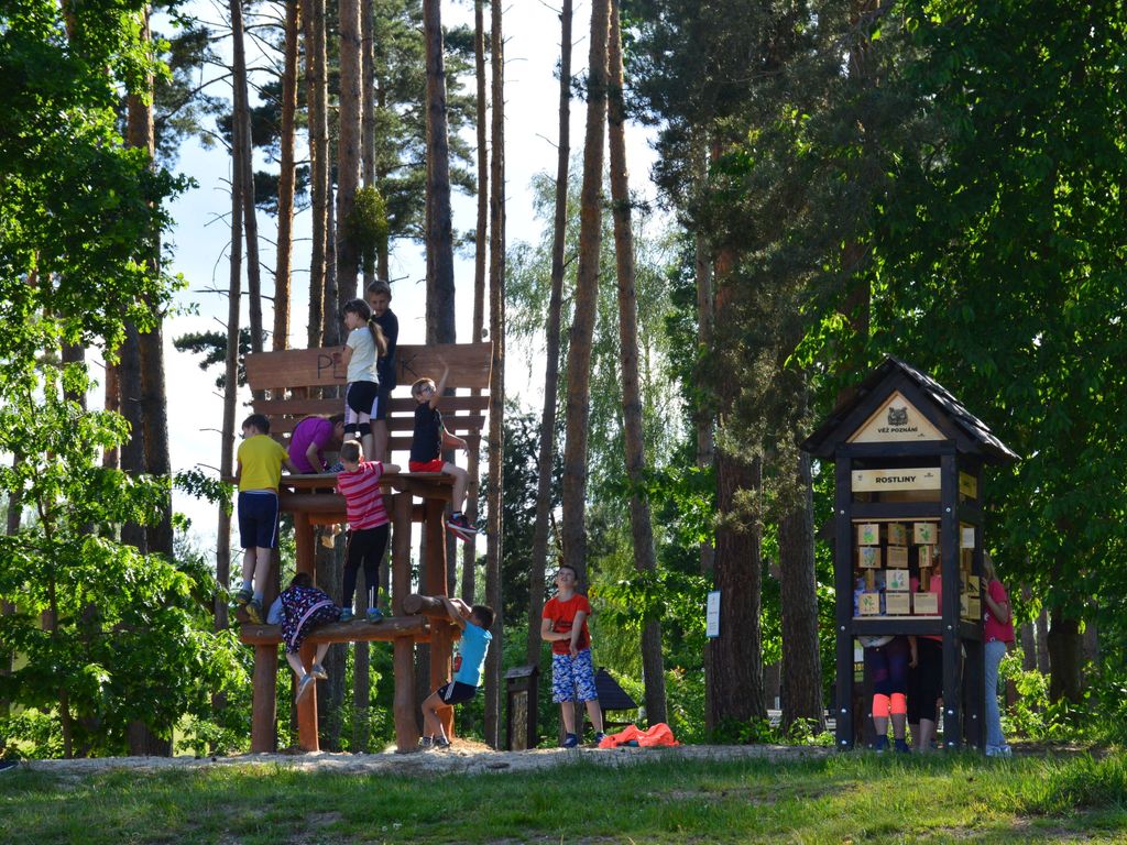 Treehouse 2