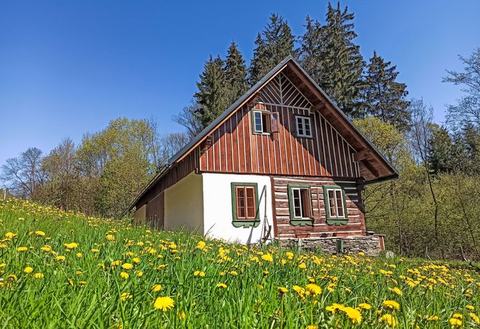 Hauptbild