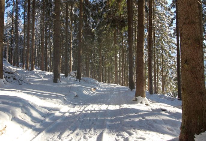 Bild 16