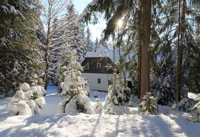 Bild 15