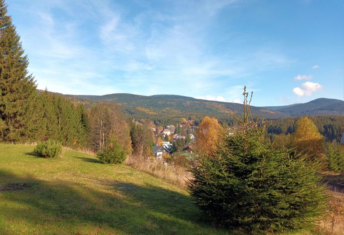 Bild 12