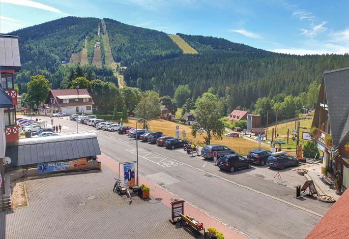 Harrachov Central Nest .2