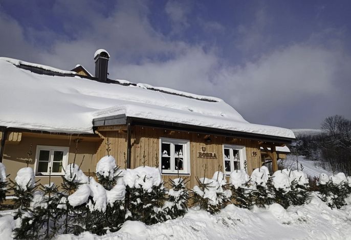 Bild 19