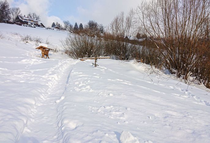 Bild 16