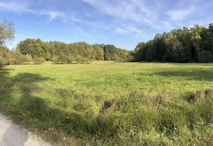 Bild 19