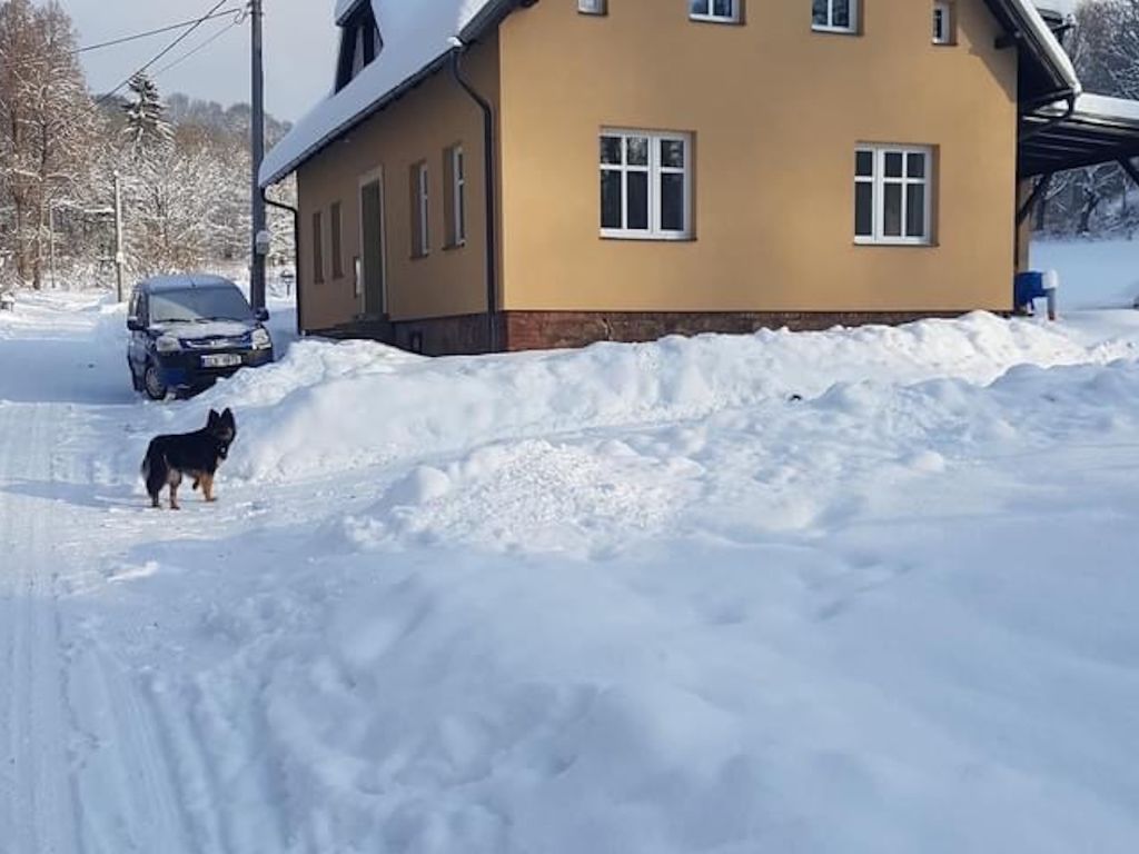 Bolkov
