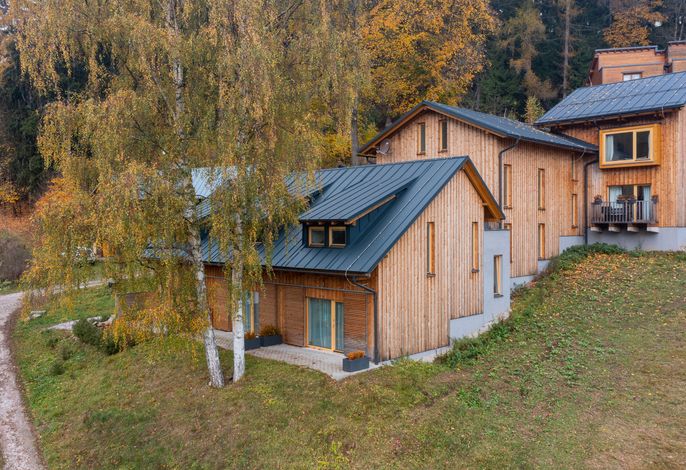 Bild 15