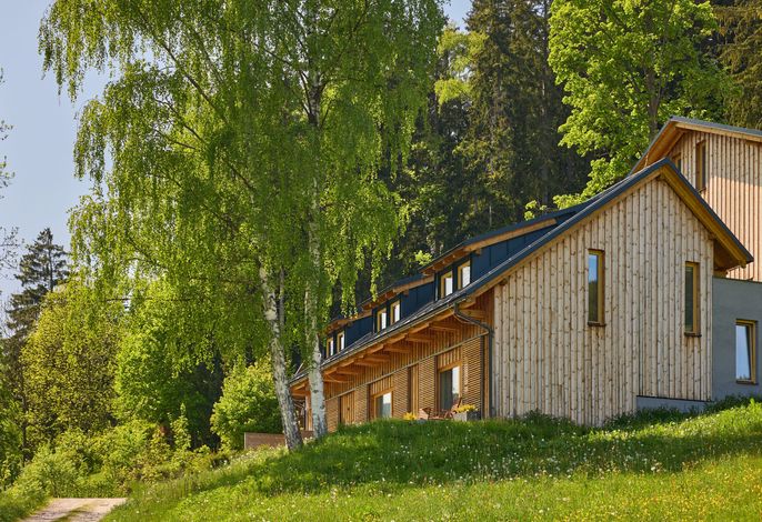 Bild 19