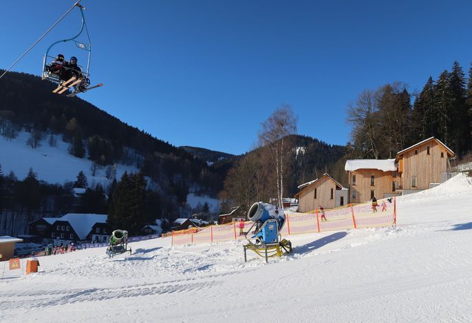 Bild 36