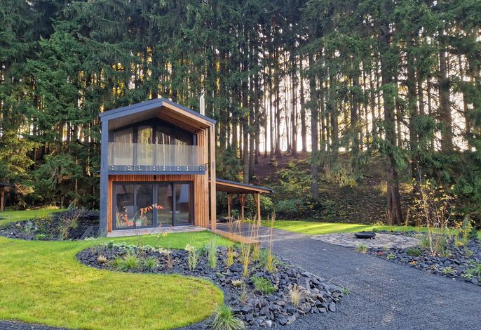 Luxe Timber Lodge & Pet Retreat