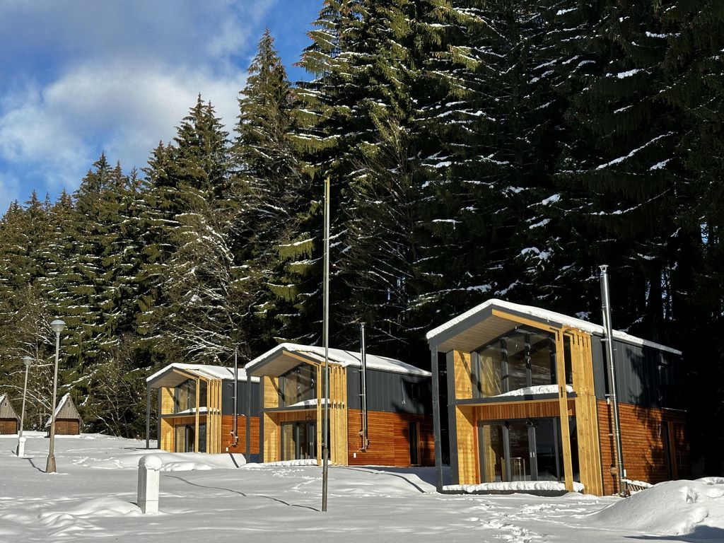 Luxe Timber Lodge & Pet Retreat