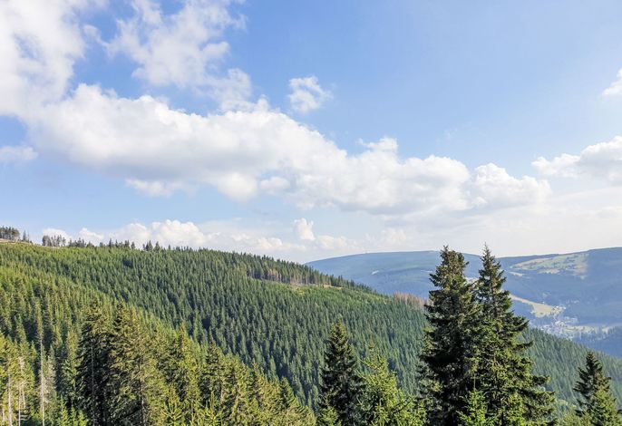 Bild 34