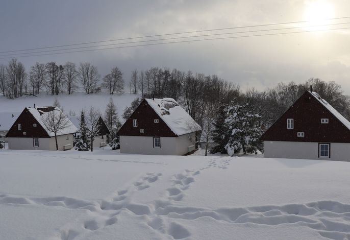 Bild 17