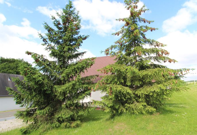 Bild 12