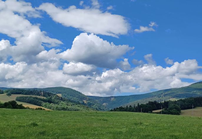 Bild 37