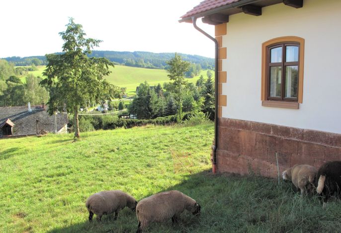 Bild 7